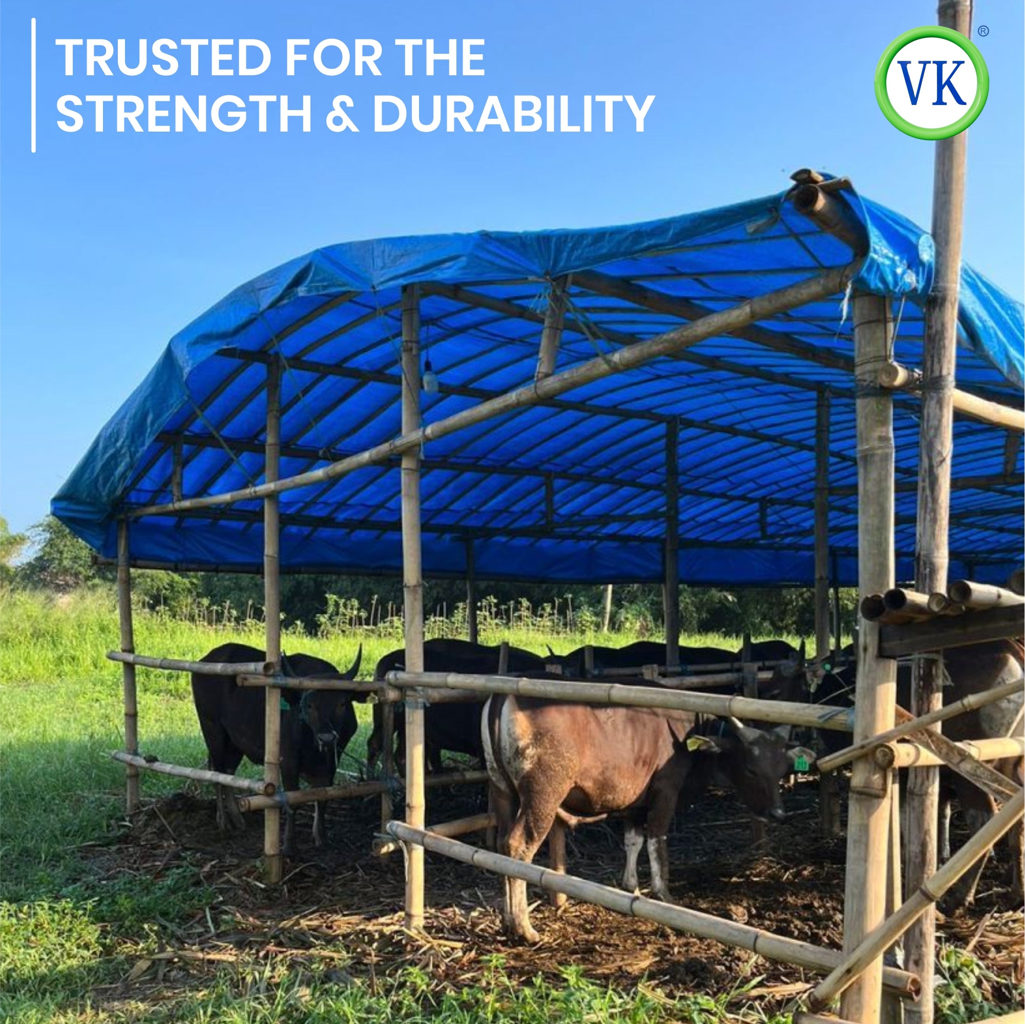 VK Smart Sarvottam Tarpaulin 155 GSM Tarp